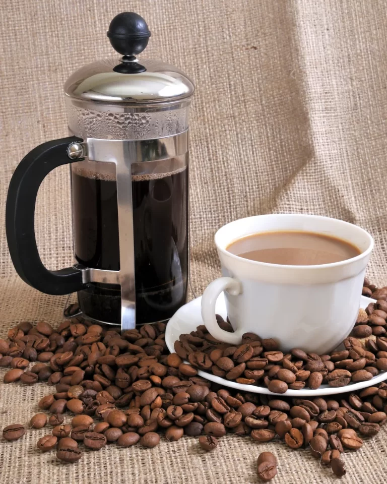 French Press Nasıl Yapılır